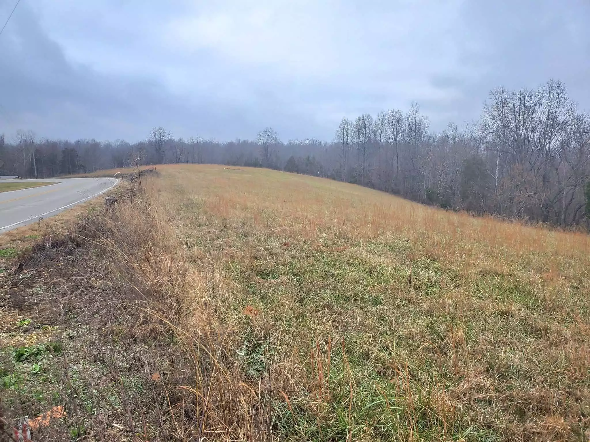 Carthage Rd, Pleasant Shade, TN  37145