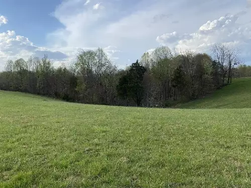 Carthage Rd, Pleasant Shade, TN  37145