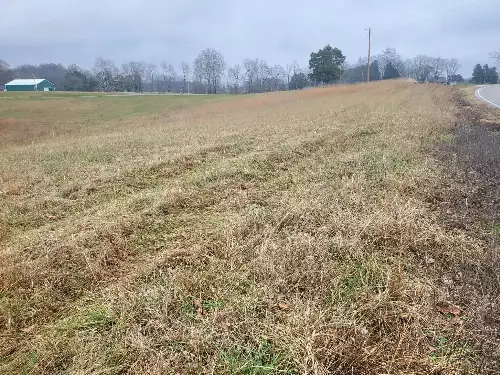 Carthage Rd, Pleasant Shade, TN  37145