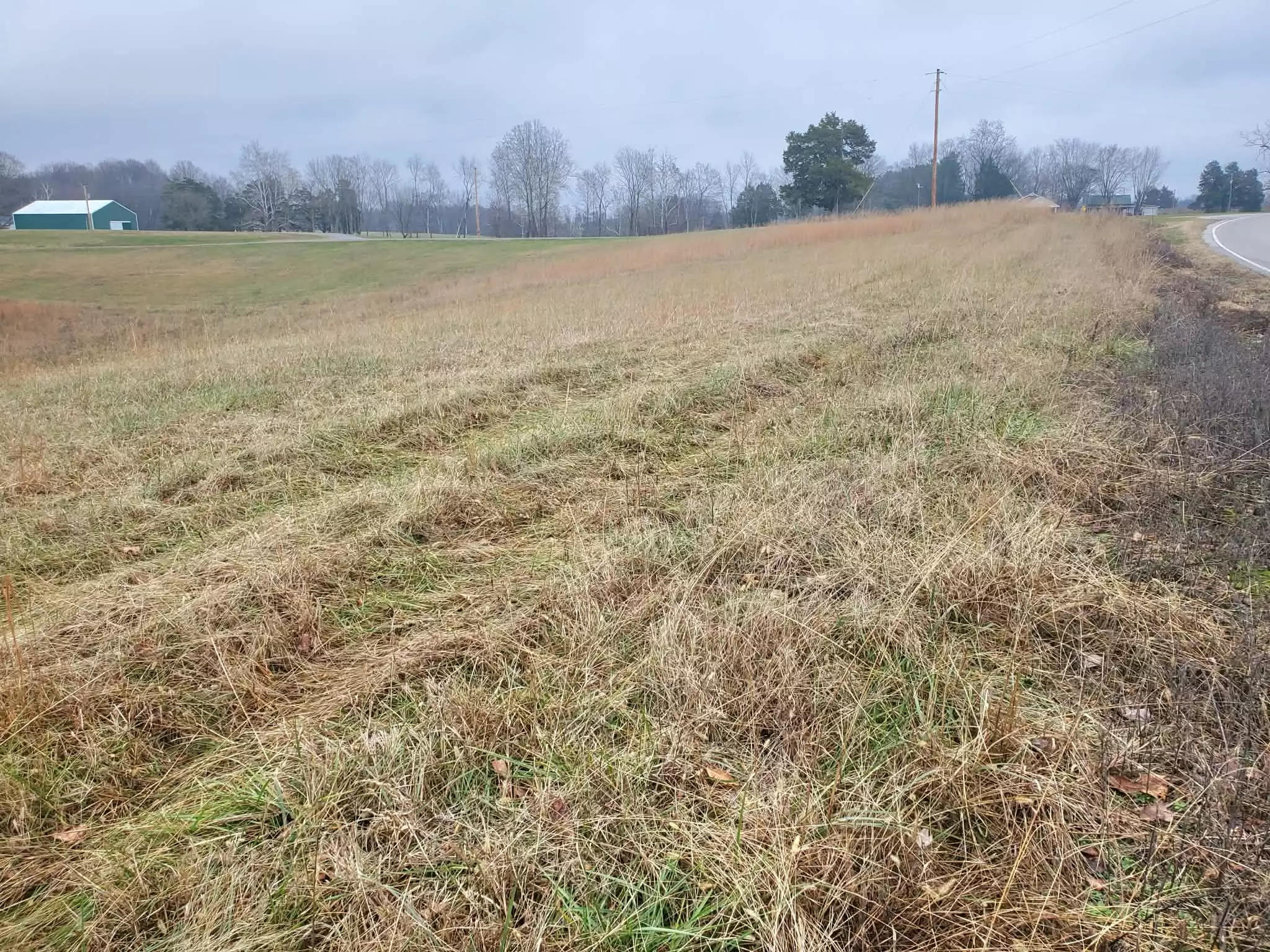 Carthage Rd, Pleasant Shade, TN  37145