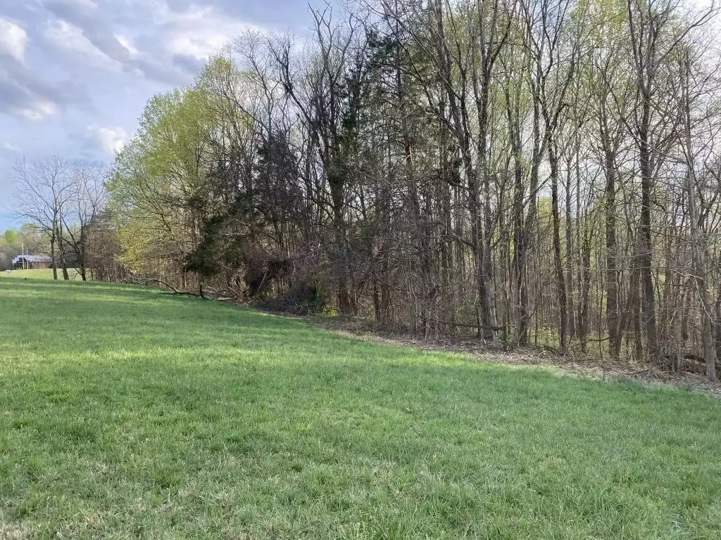 Carthage Rd, Pleasant Shade, TN  37145