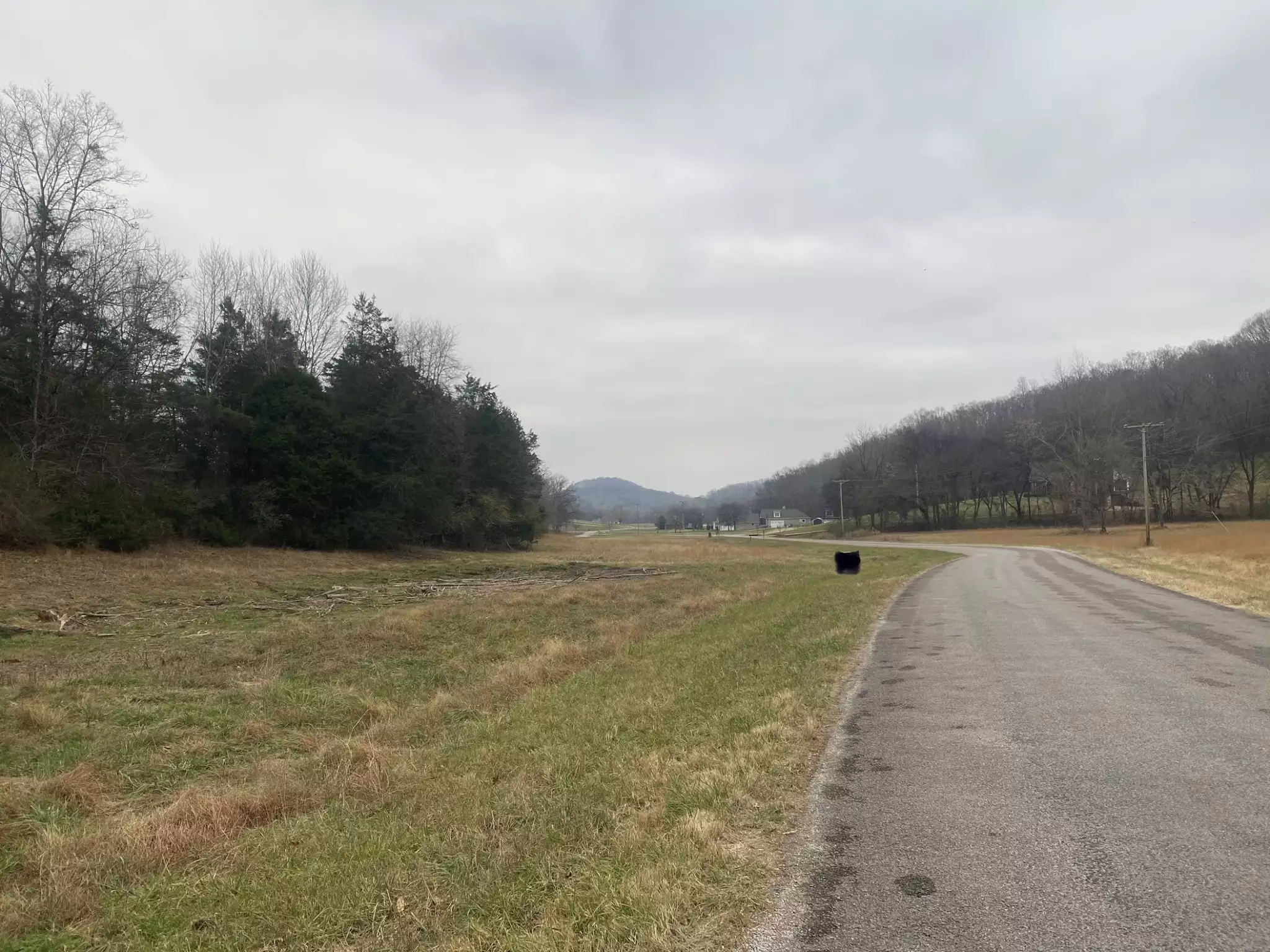 Scenic Dr, Pulaski, TN  38478