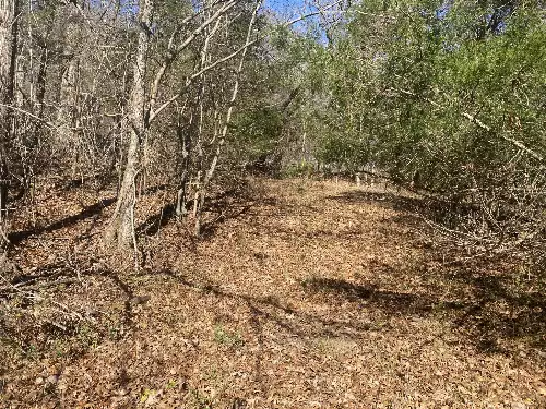 Scenic Dr, Pulaski, TN  38478