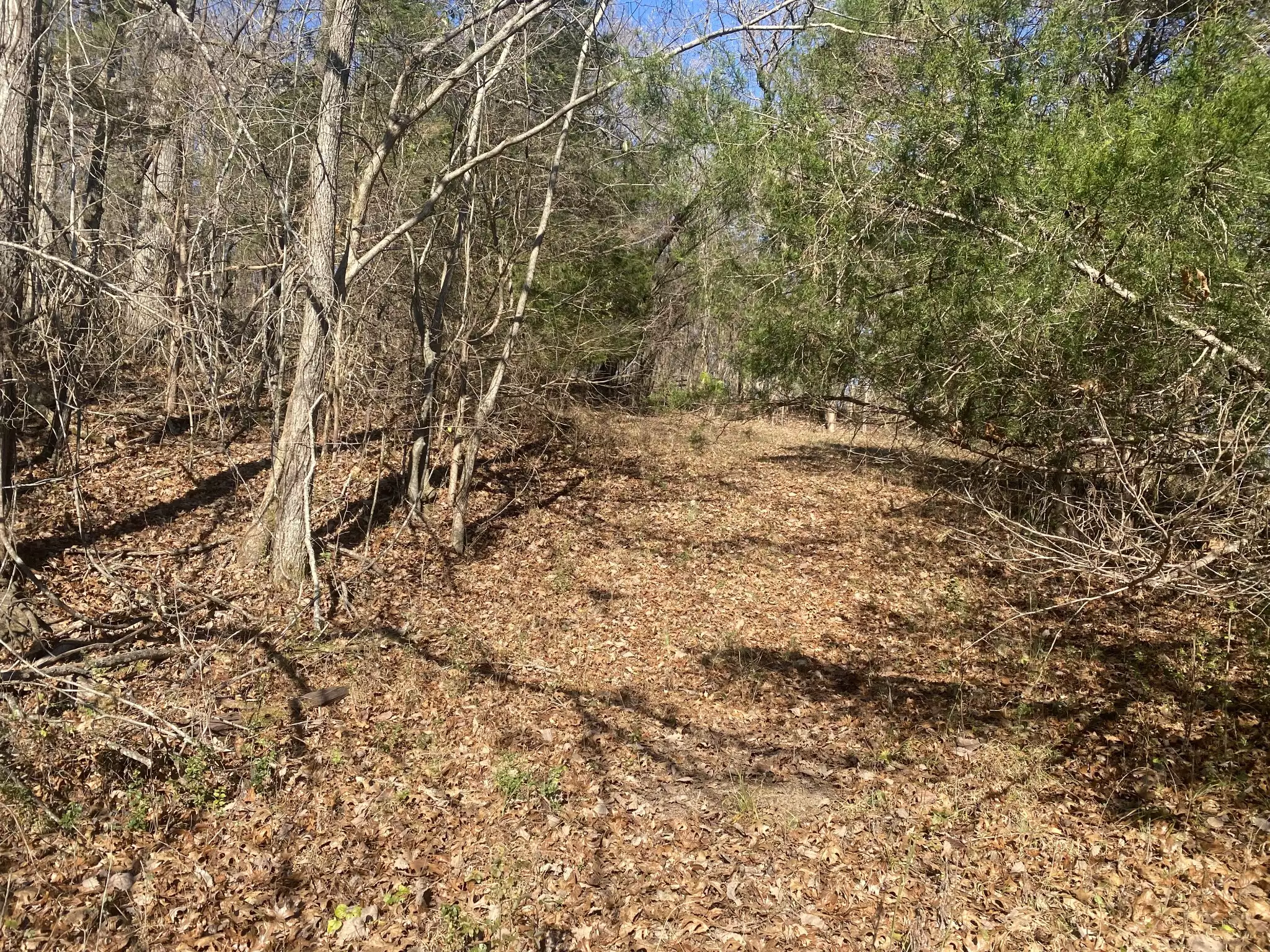 Scenic Dr, Pulaski, TN  38478