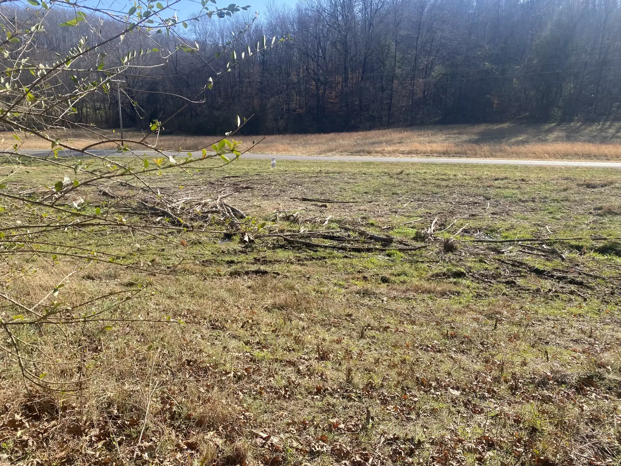 Scenic Dr, Pulaski, TN  38478