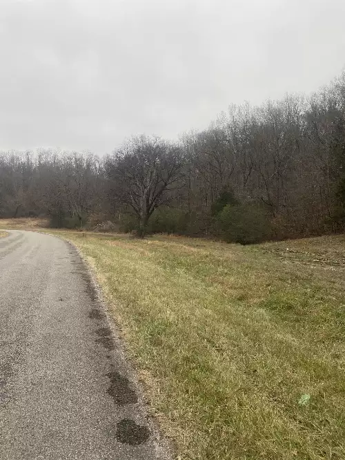 Scenic Dr, Pulaski, TN  38478