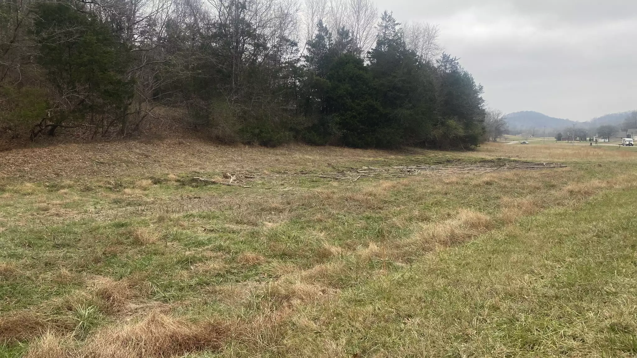 Scenic Dr, Pulaski, TN  38478