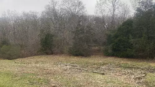 Scenic Dr, Pulaski, TN  38478