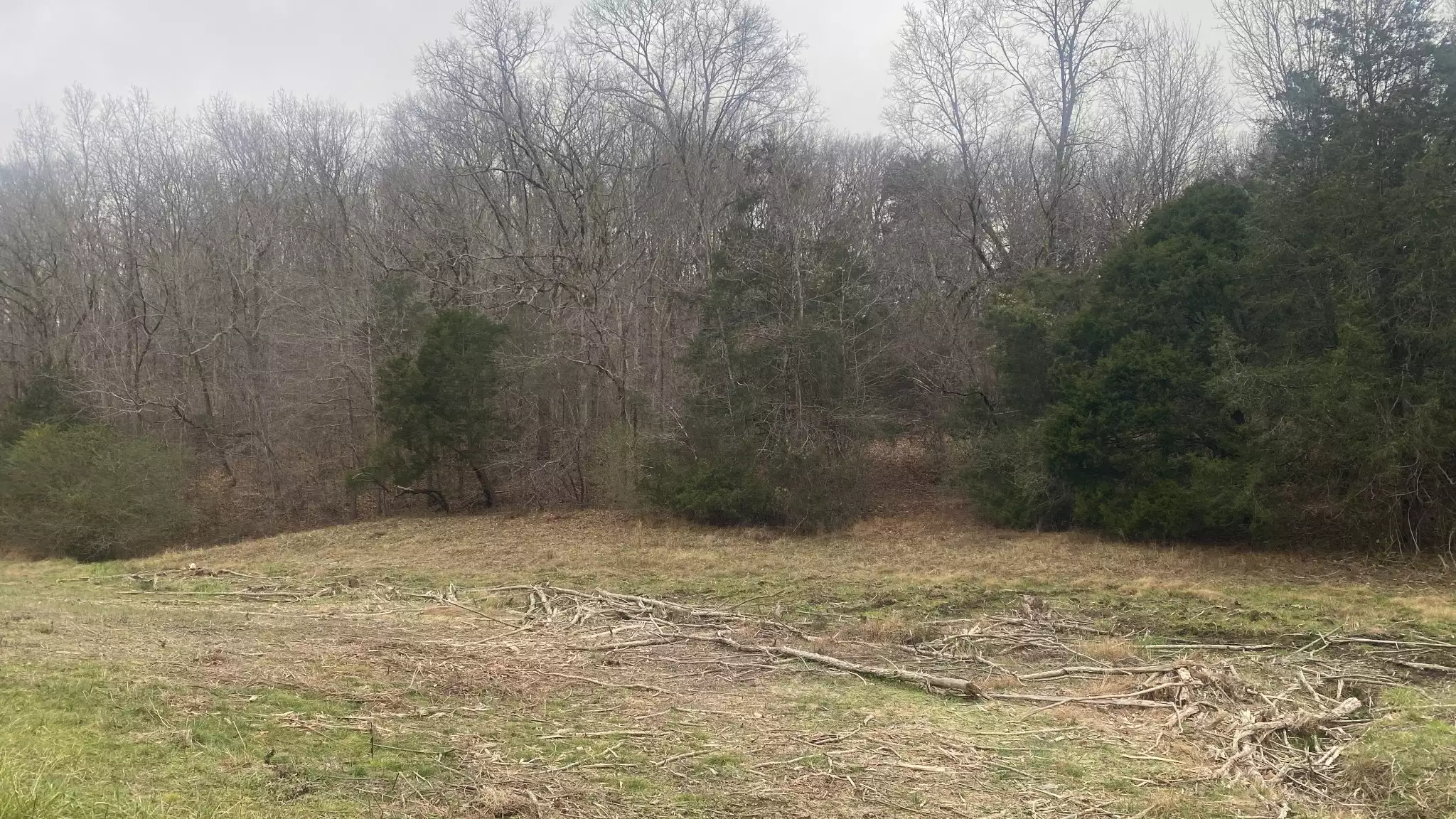 Scenic Dr, Pulaski, TN  38478