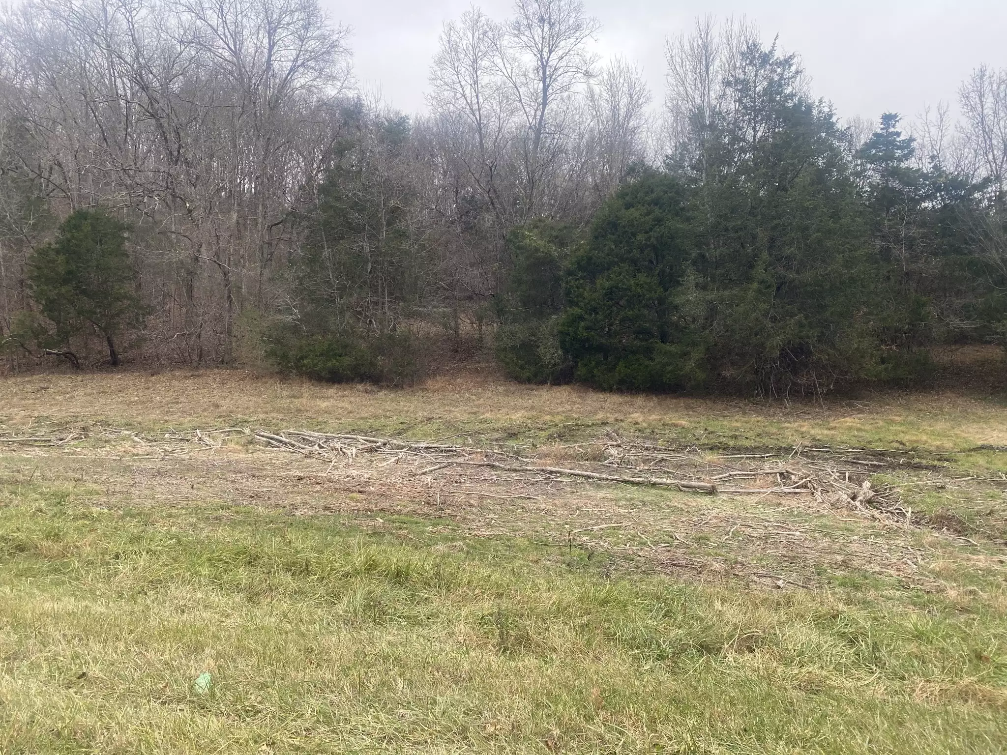 Scenic Dr, Pulaski, TN  38478