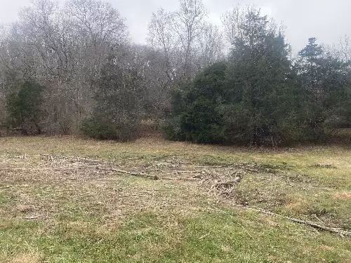 Scenic Dr, Pulaski, TN  38478