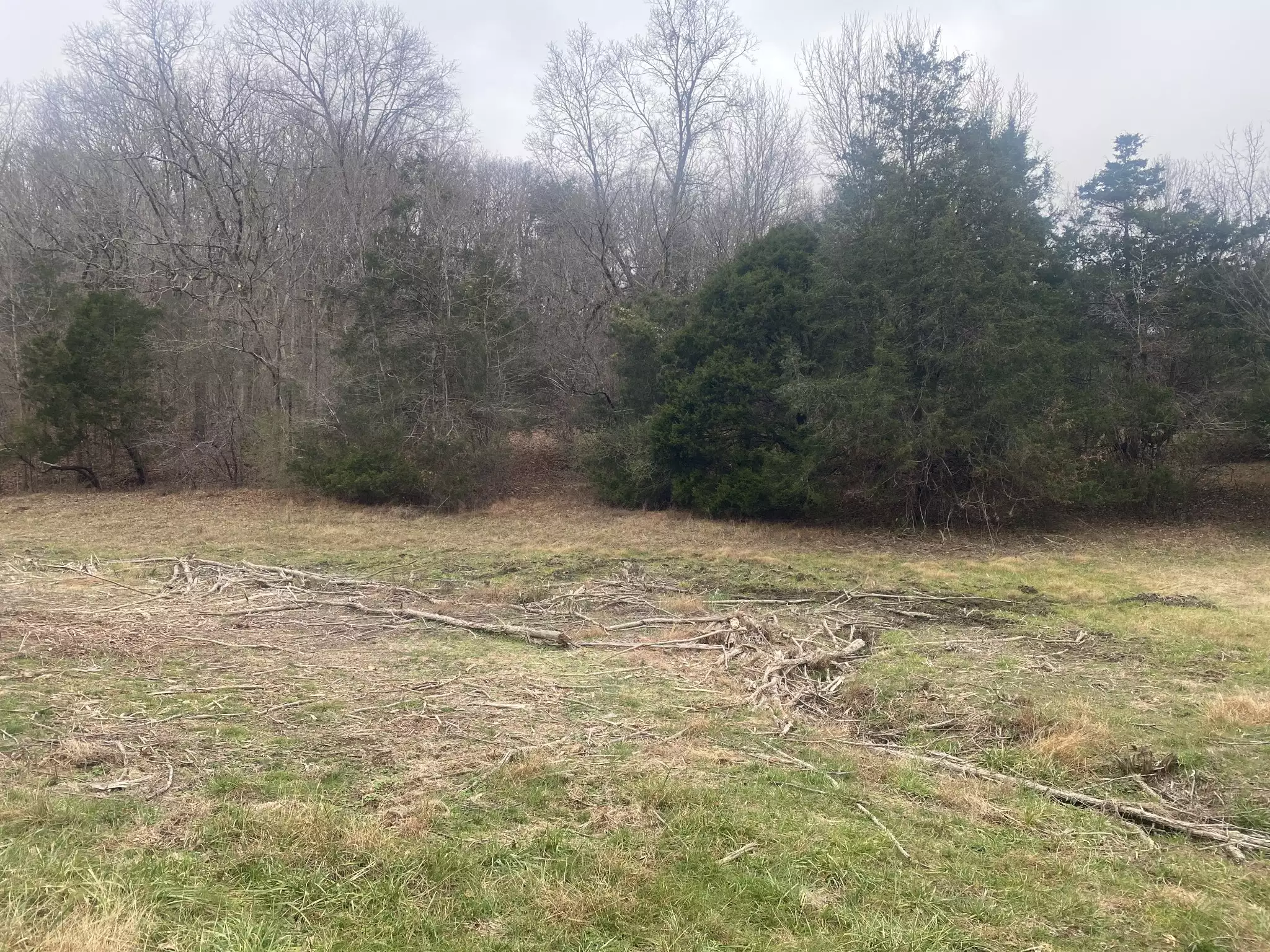 Scenic Dr, Pulaski, TN  38478