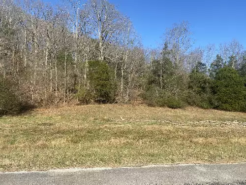 Scenic Dr, Pulaski, TN  38478