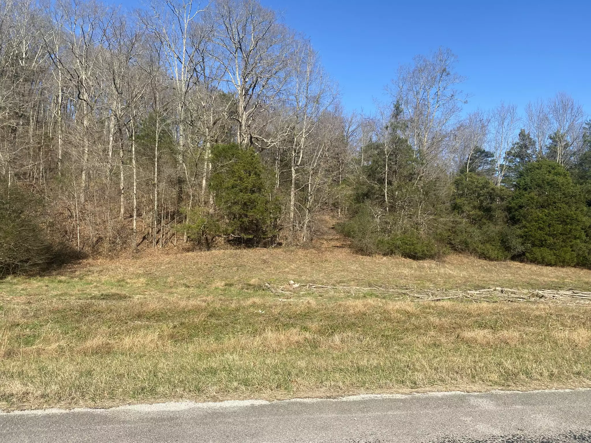 Scenic Dr, Pulaski, TN  38478