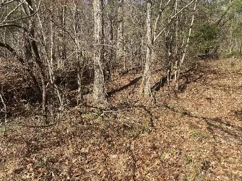 Scenic Dr, Pulaski, TN  38478