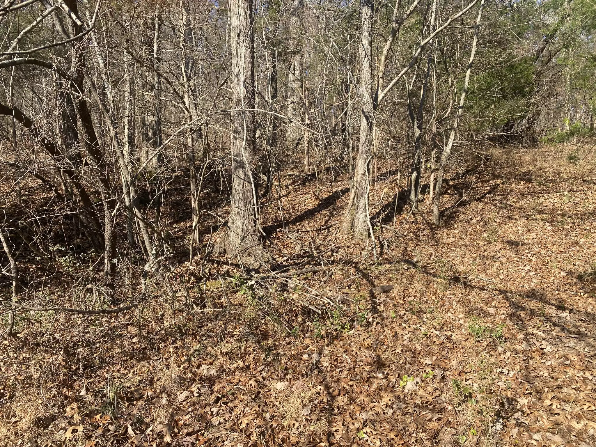 Scenic Dr, Pulaski, TN  38478