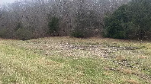 Scenic Dr, Pulaski, TN  38478