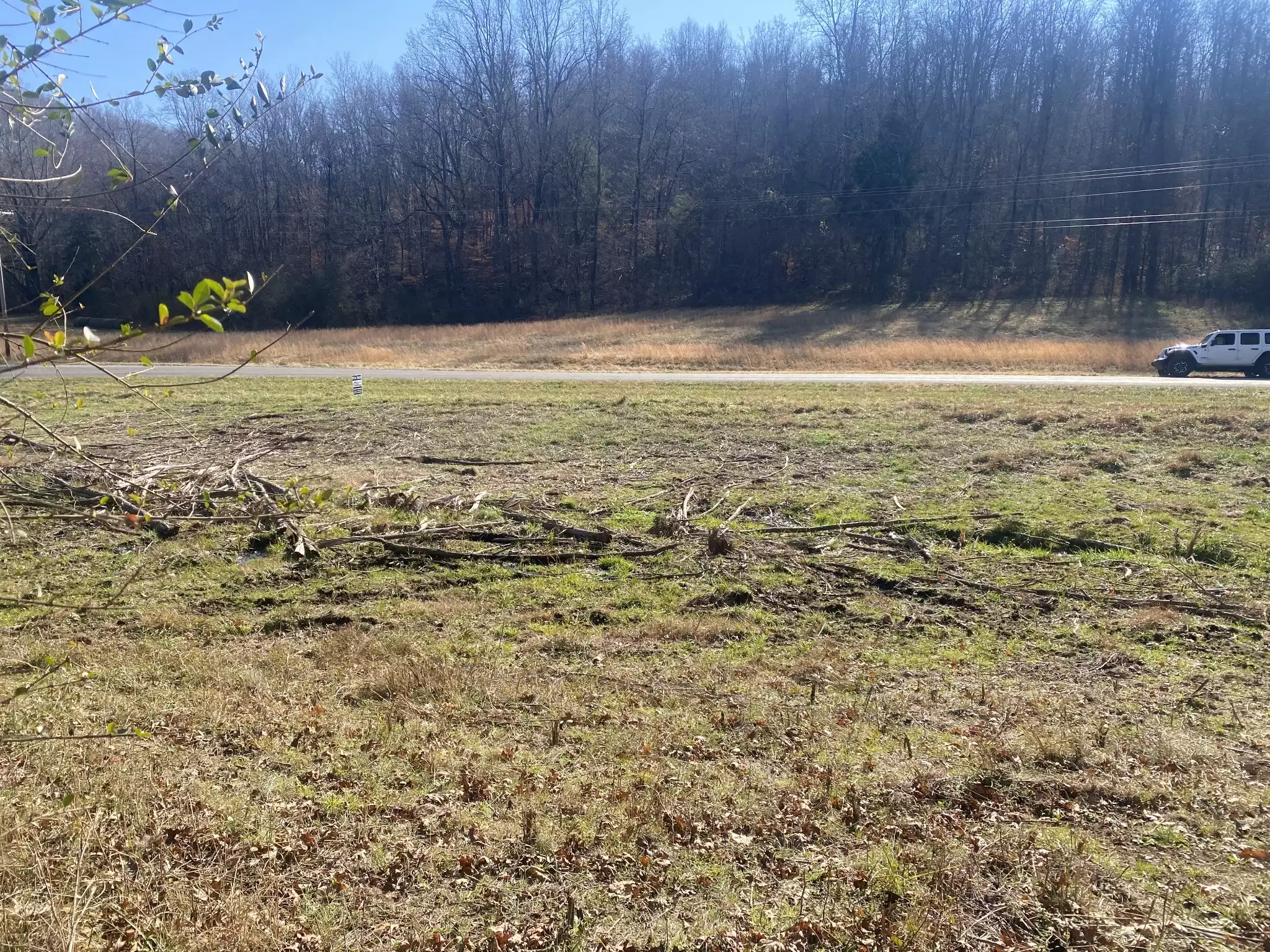 Scenic Dr, Pulaski, TN  38478