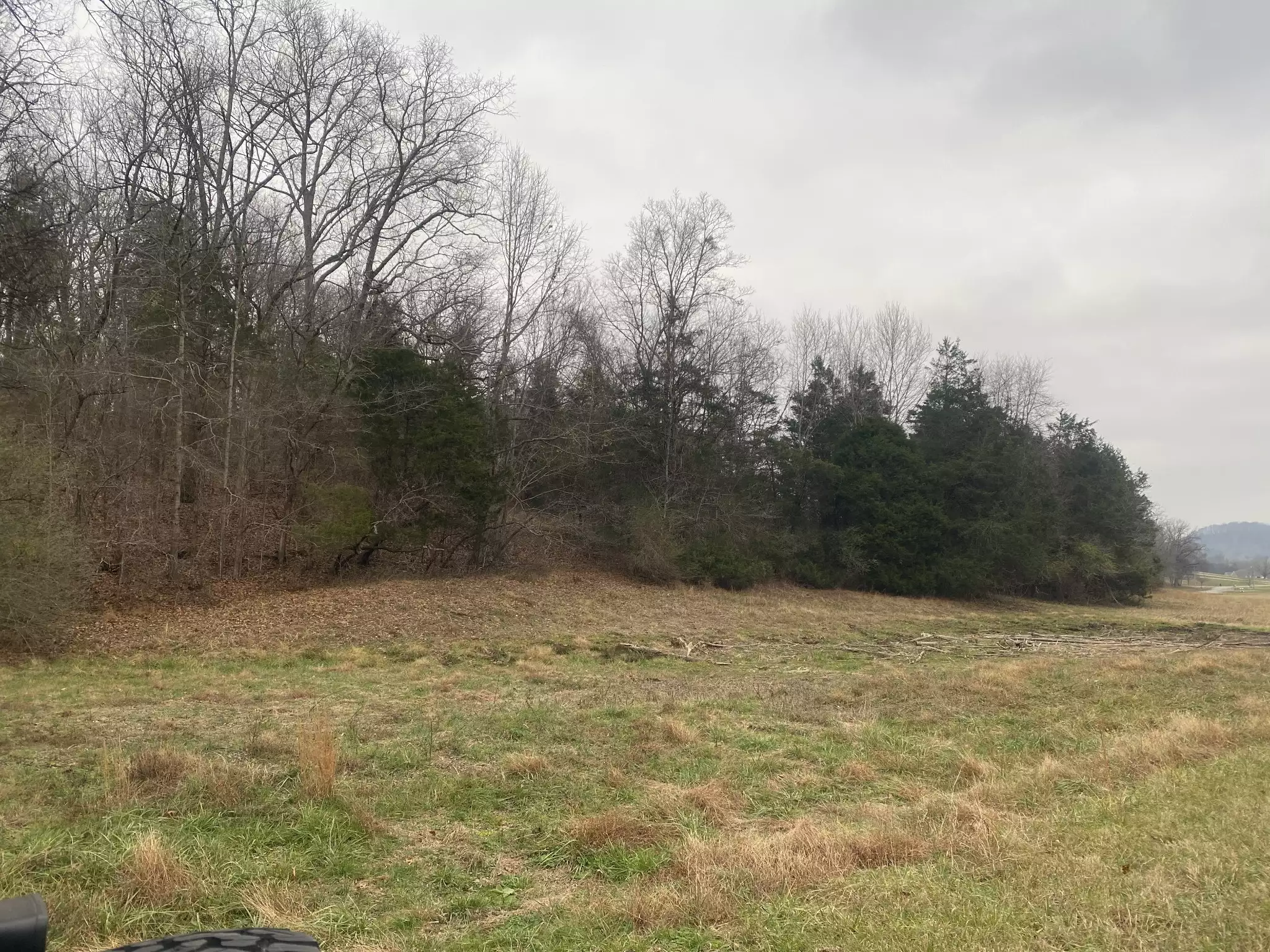 Scenic Dr, Pulaski, TN  38478