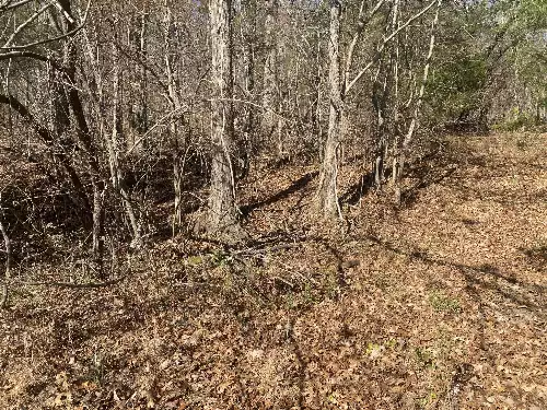 Scenic Dr, Pulaski, TN  38478