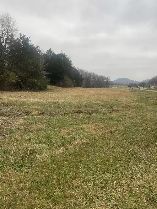 Scenic Dr, Pulaski, TN  38478