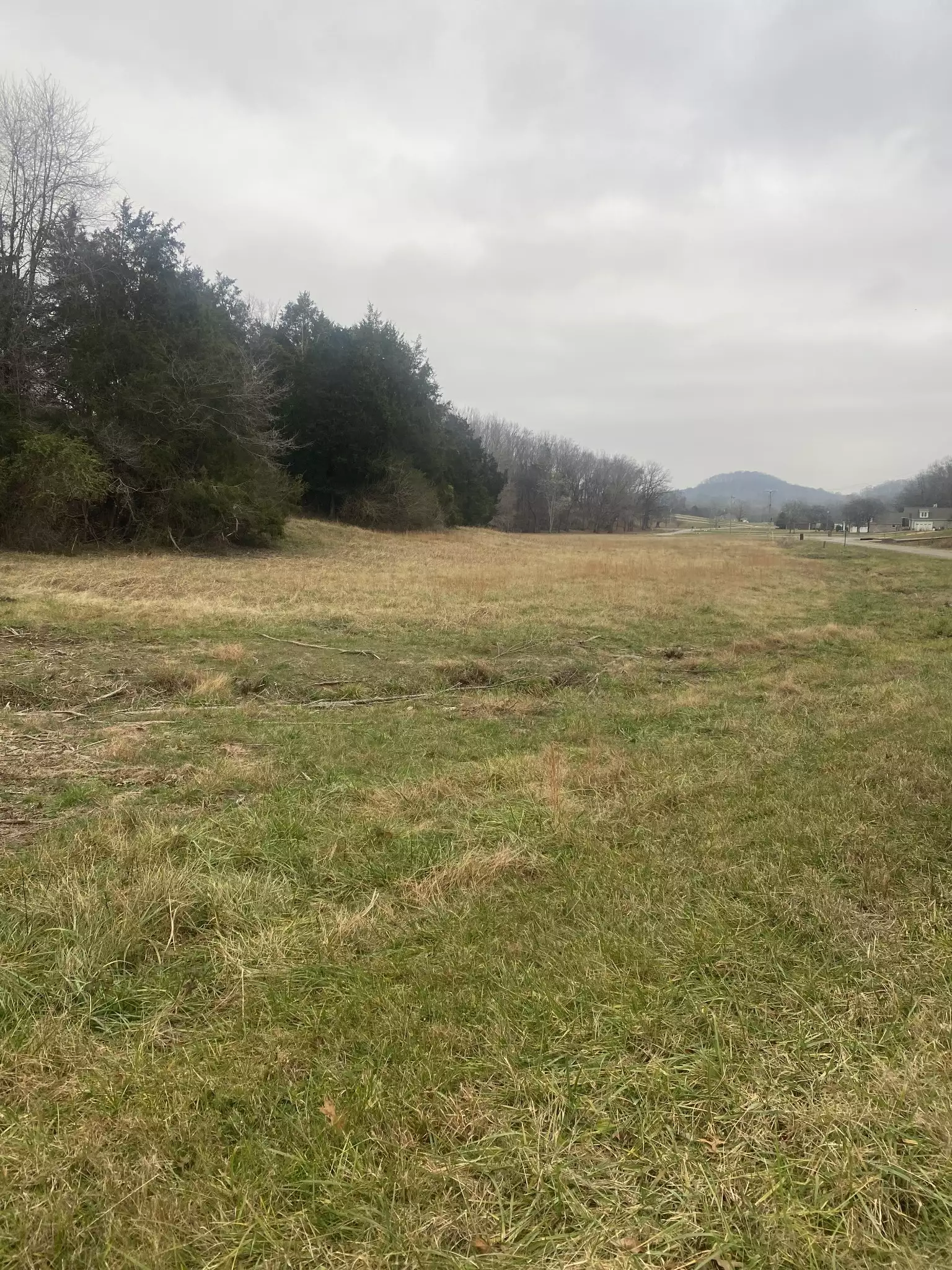 Scenic Dr, Pulaski, TN  38478