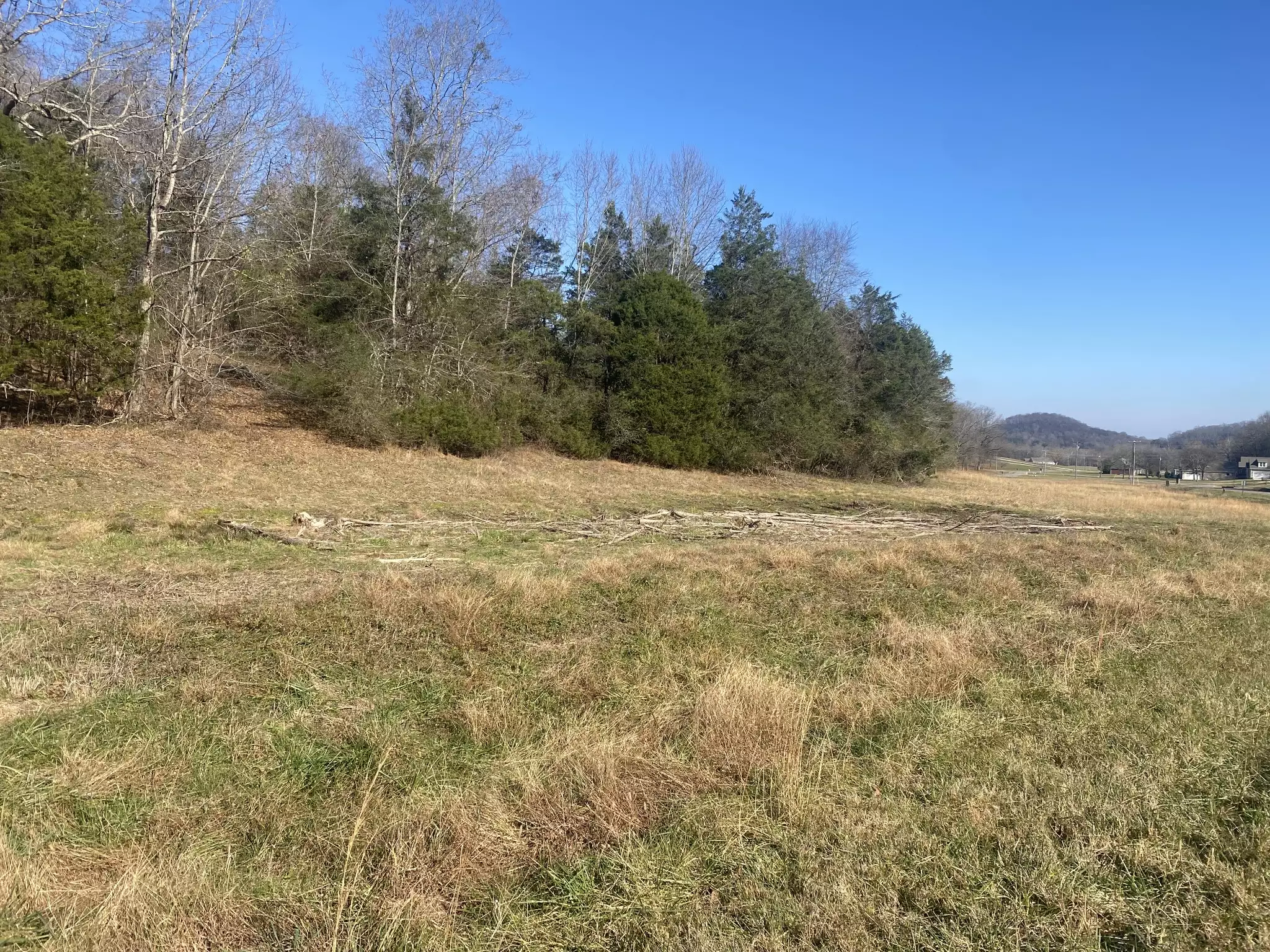 Scenic Dr, Pulaski, TN  38478