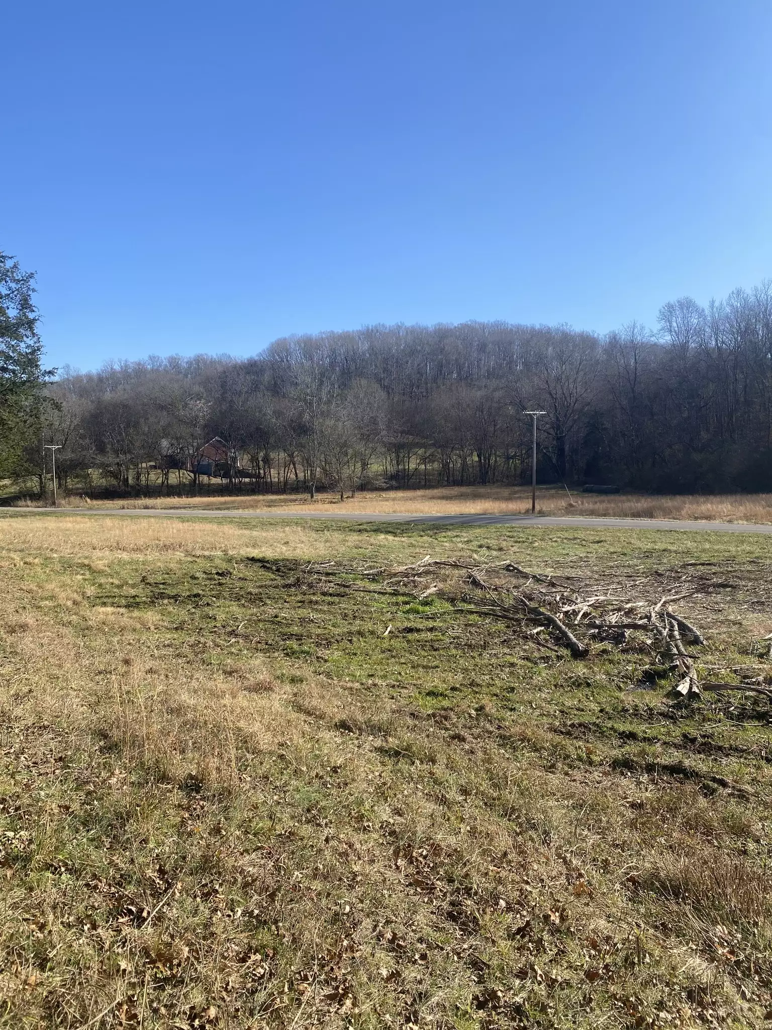 Scenic Dr, Pulaski, TN  38478