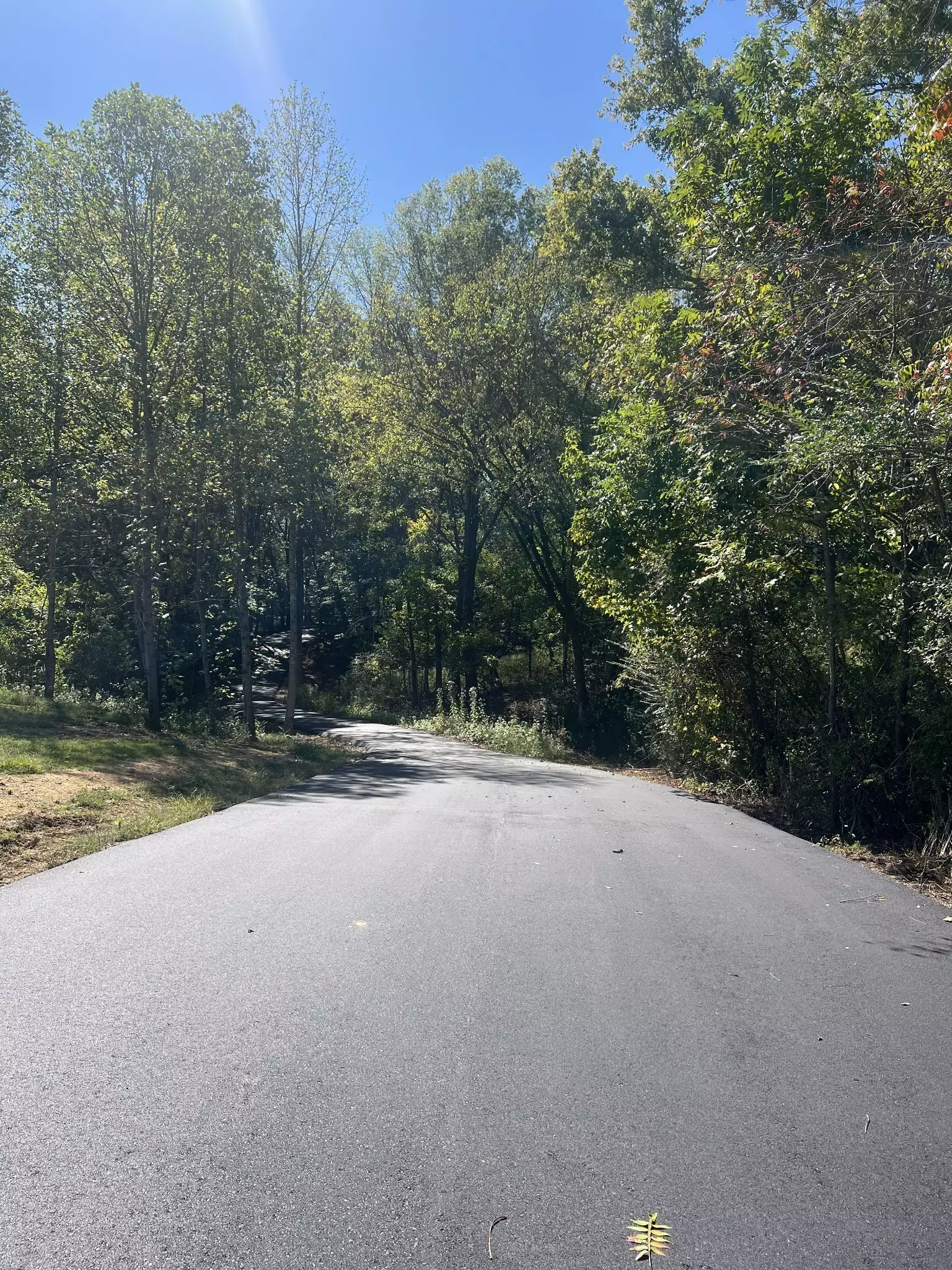 2973 Lights Chapel Rd, Greenbrier, TN  37073