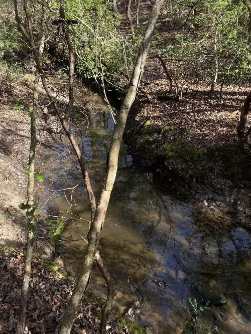 305 Timberwood Trace, Monteagle, TN  37356