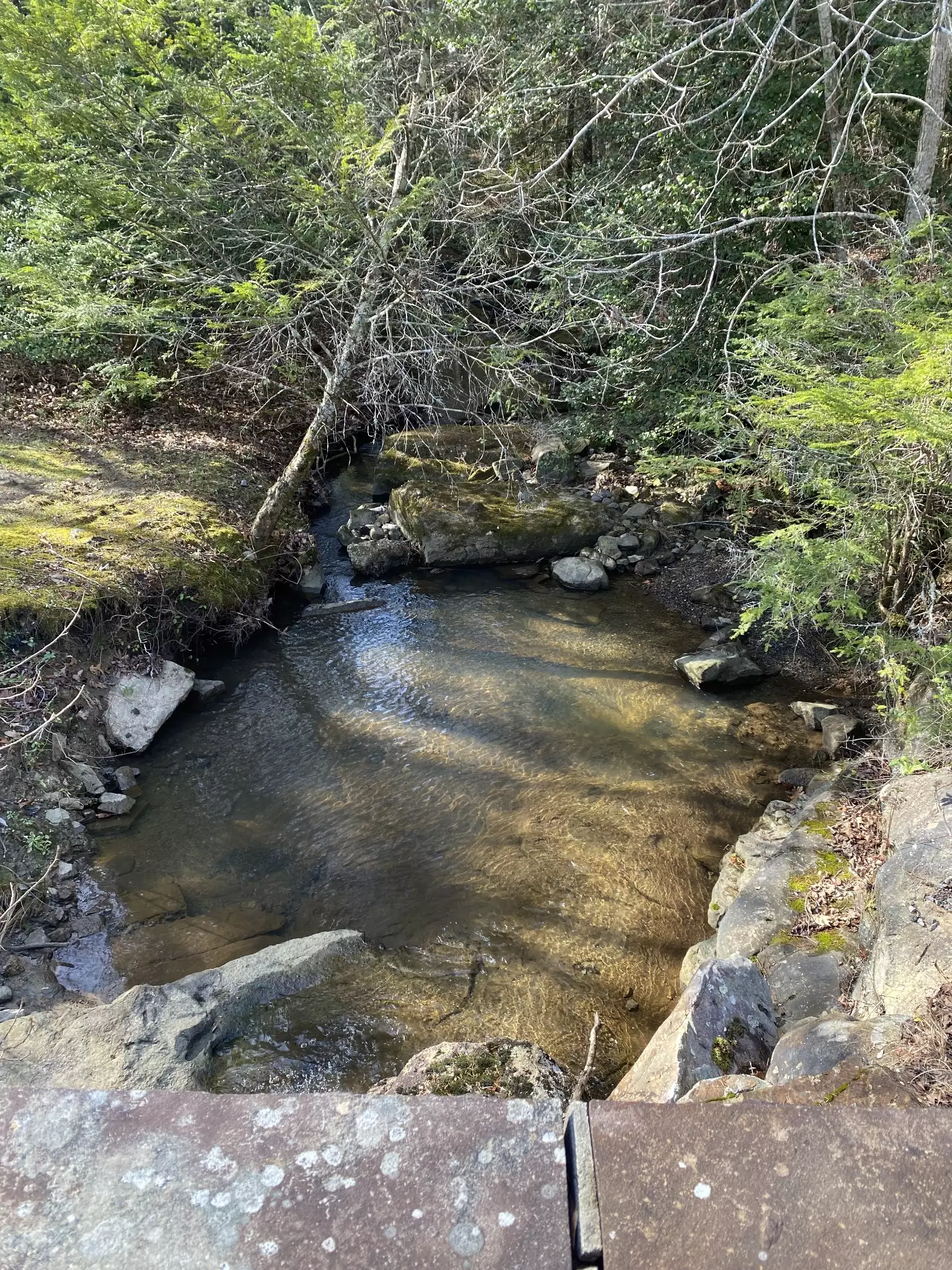 305 Timberwood Trace, Monteagle, TN  37356