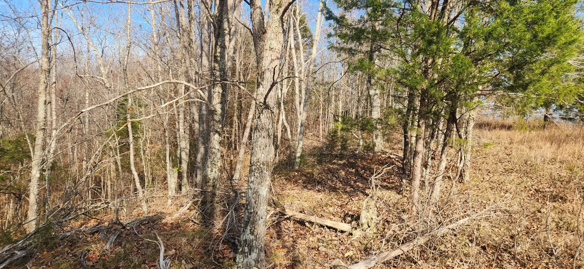 Nine Mile Ridge Rd, Duck River, TN  38454