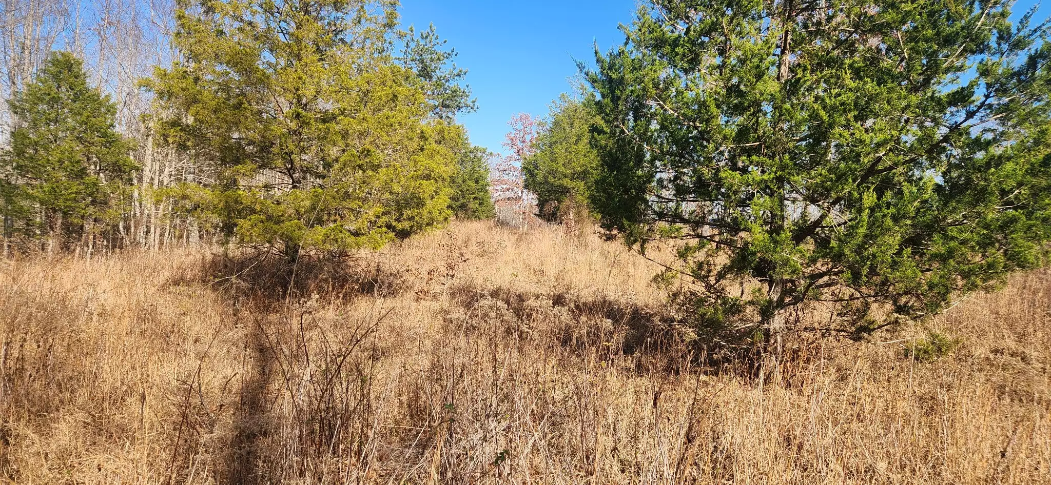 Nine Mile Ridge Rd, Duck River, TN  38454