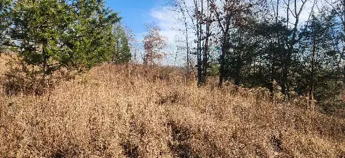 Nine Mile Ridge Rd, Duck River, TN  38454