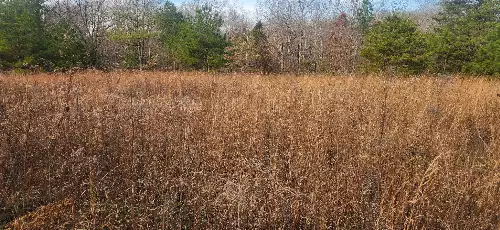 Nine Mile Ridge Rd, Duck River, TN  38454