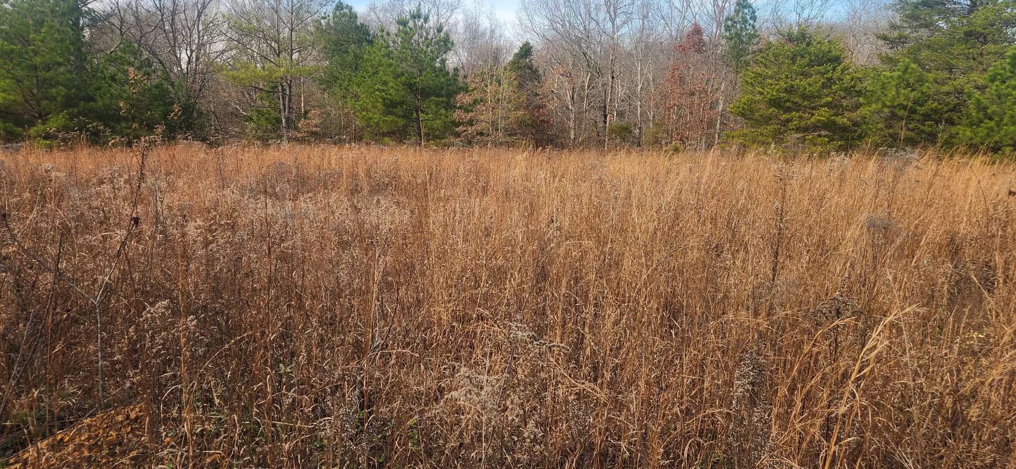 Nine Mile Ridge Rd, Duck River, TN  38454