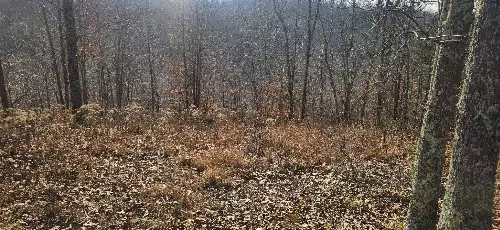 Nine Mile Ridge Rd, Duck River, TN  38454