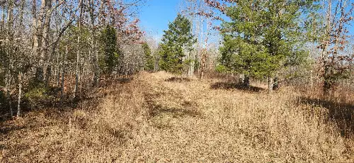 Nine Mile Ridge Rd, Duck River, TN  38454