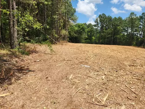 446 E Main St, Hohenwald, TN  38462