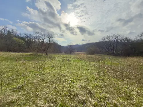 3960 Hurricane Creek Rd, Woodbury, TN  37190