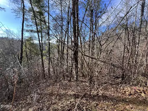 2331 Willow Lane, Sevierville, TN  37862