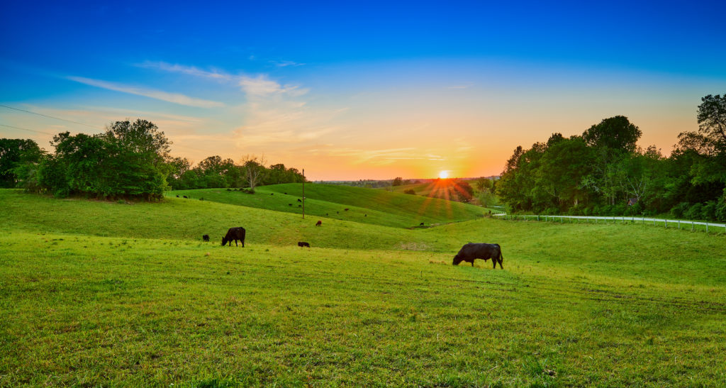 Scenic farmland sky at dusk, representing farm properties for sale