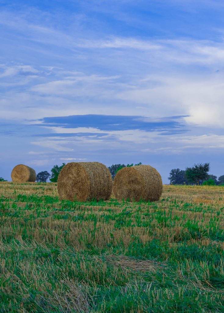 Blue sky over open farmland, representing farm property search