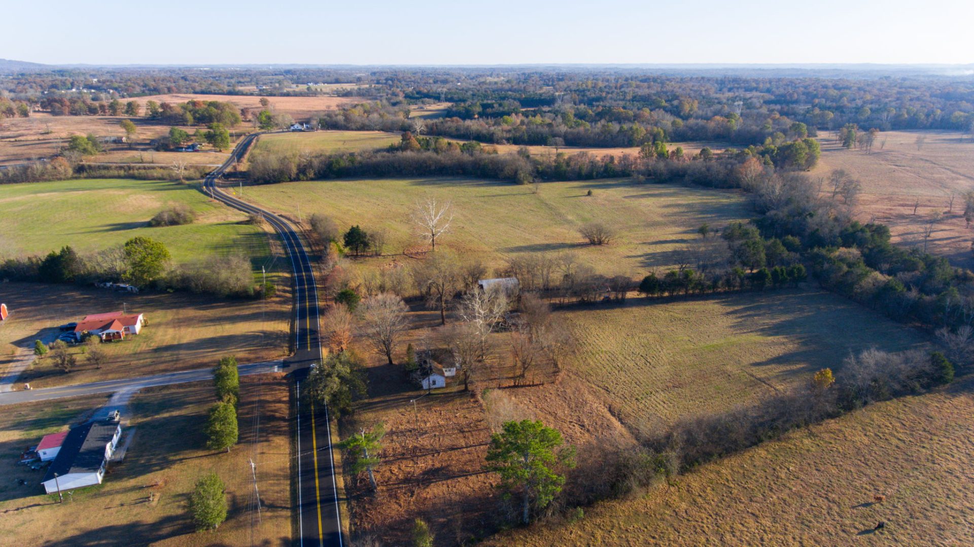 AUCTION Craigwheeler